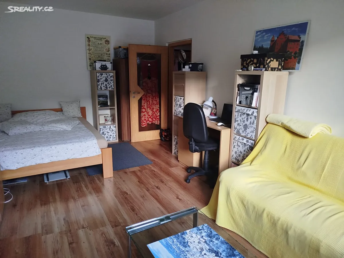 Pronájem bytu 1+1 40 m², Jana Ziky