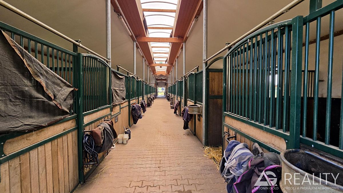 Prodej zemědělského objektu 5128 m² – fotografie 2