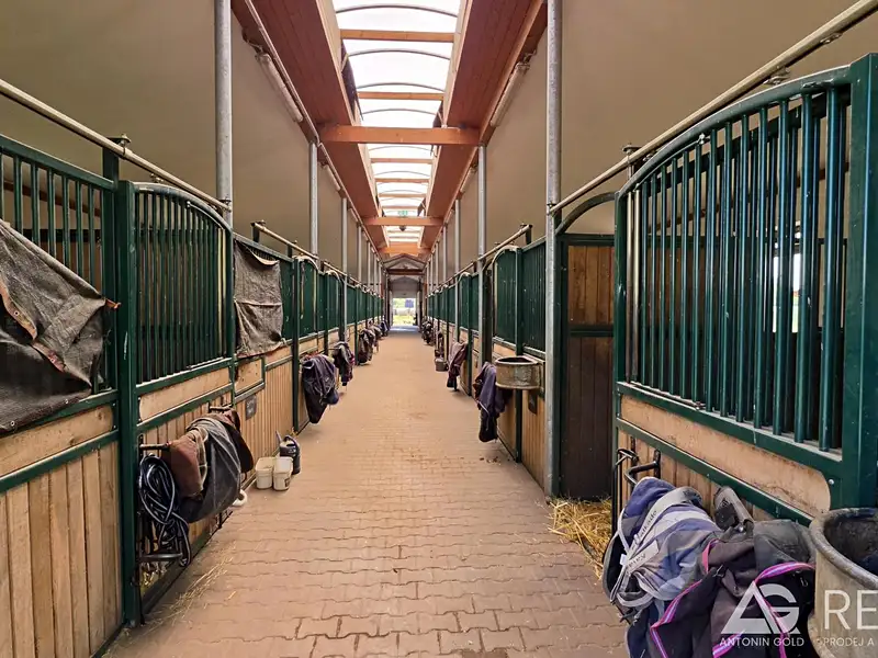 Prodej zemědělského objektu 5128 m², Úžice – náhled fotky 2