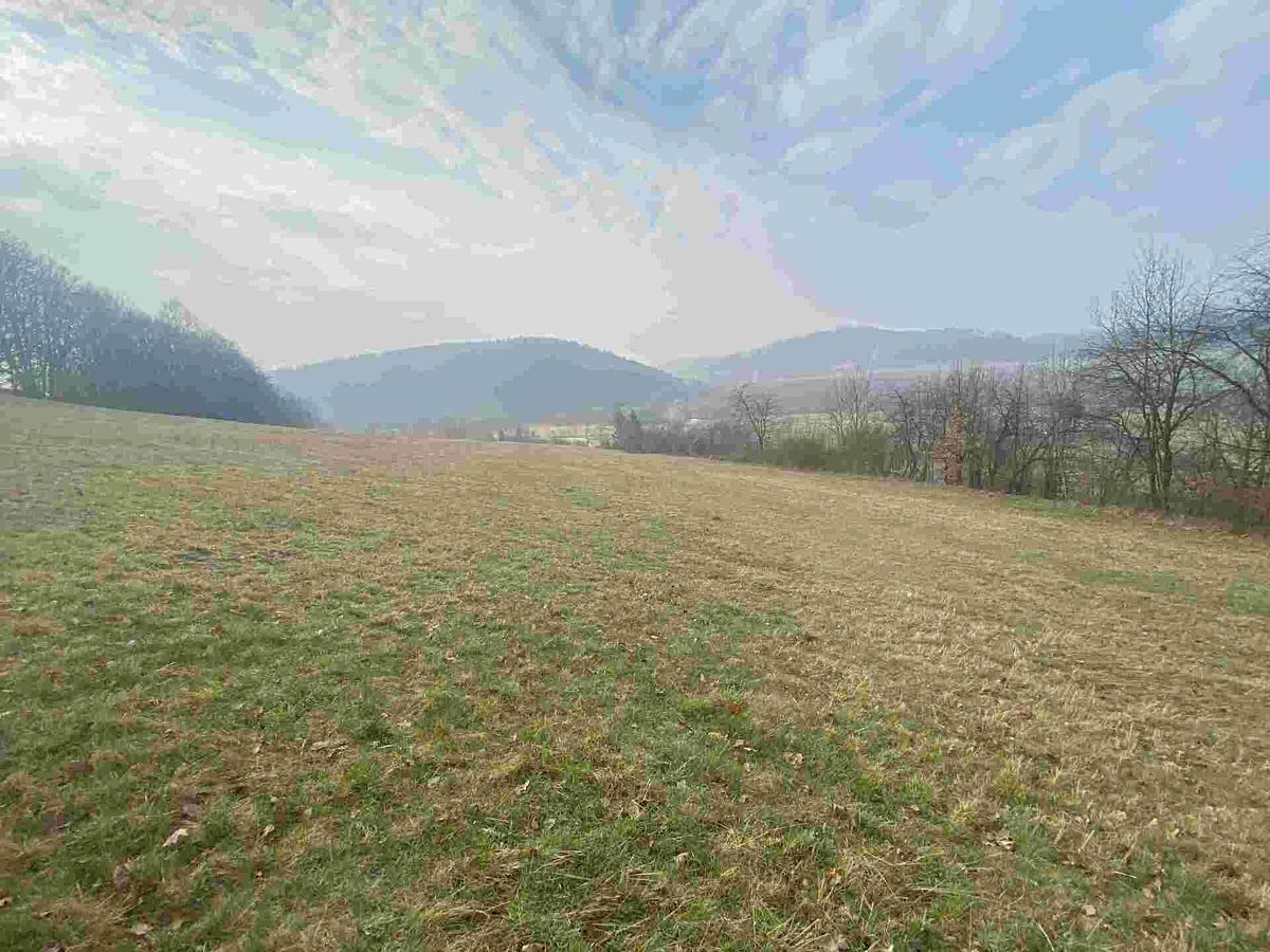 Prodej pozemku 9269 m² – fotografie 2