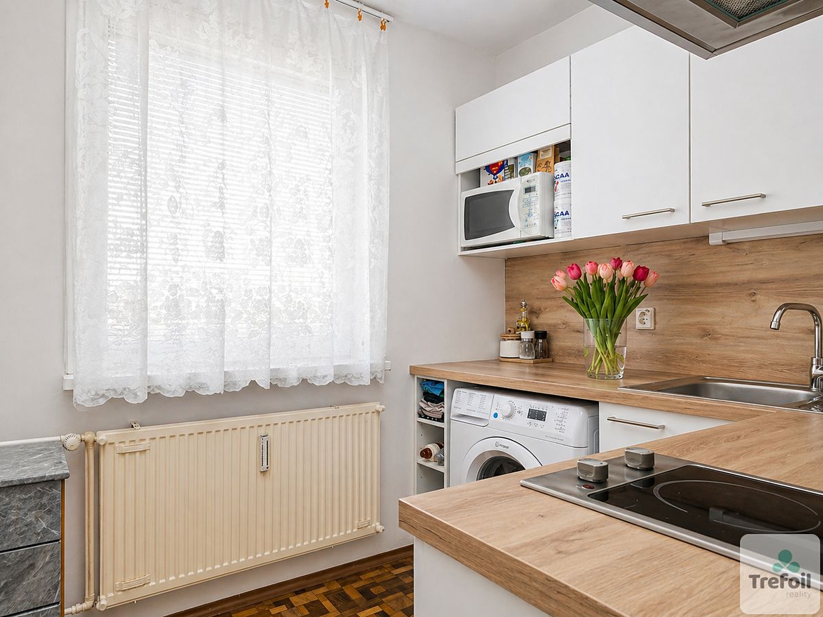 Prodej bytu 1+1 39 m², Liberec – fotka 1 z 3