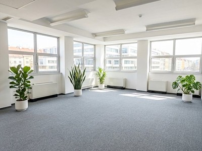 Pronájem komerčního prostoru, 150 m² (3 z 7)