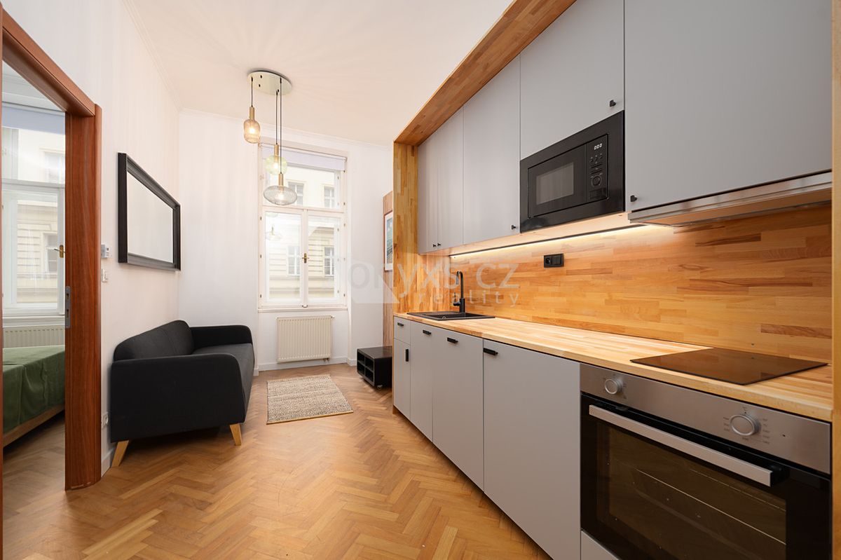 Pronájem bytu 1+1 31 m²