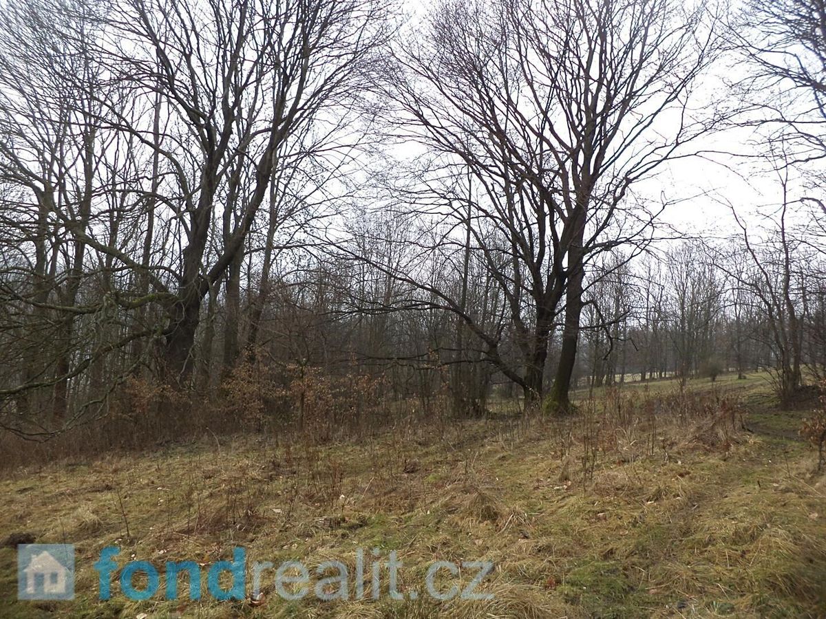 Prodej pole 5161 m² – fotografie 2