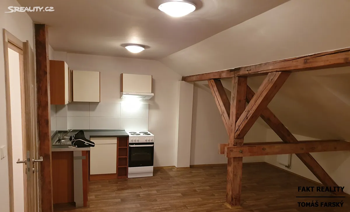 Pronájem bytu 1+kk 52 m², Londýnská