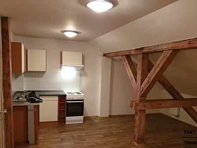 Pronájem bytu 1+kk 52 m²
