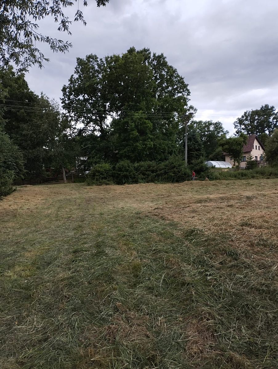 Pronájem louky 3000 m²