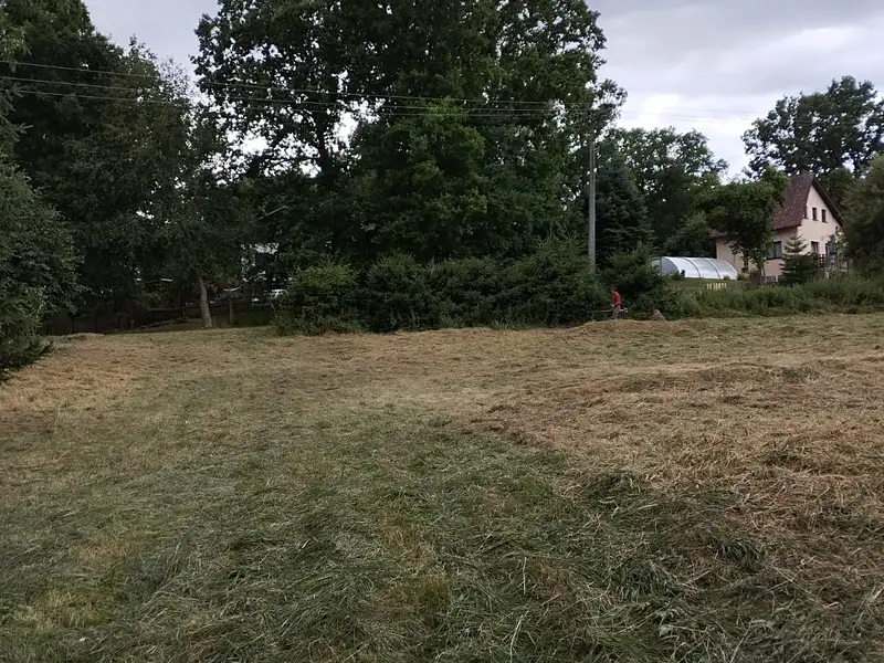 Pronájem louky 3000 m², Líšťany – náhled fotky 1