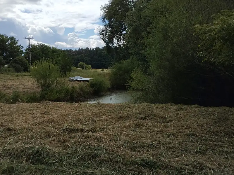 Pronájem louky 3000 m², Líšťany – náhled fotky 2