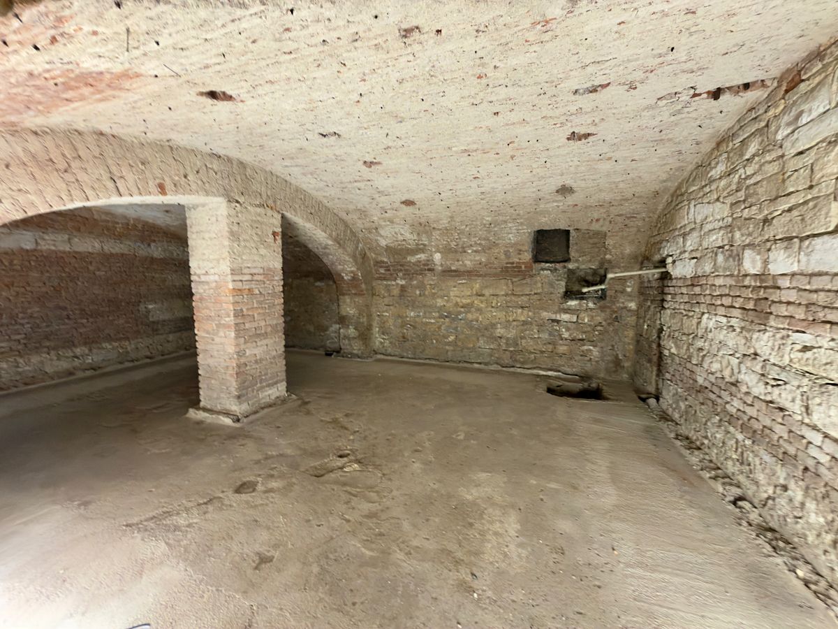 Prodej obchodního prostoru 151 m² – fotografie 4
