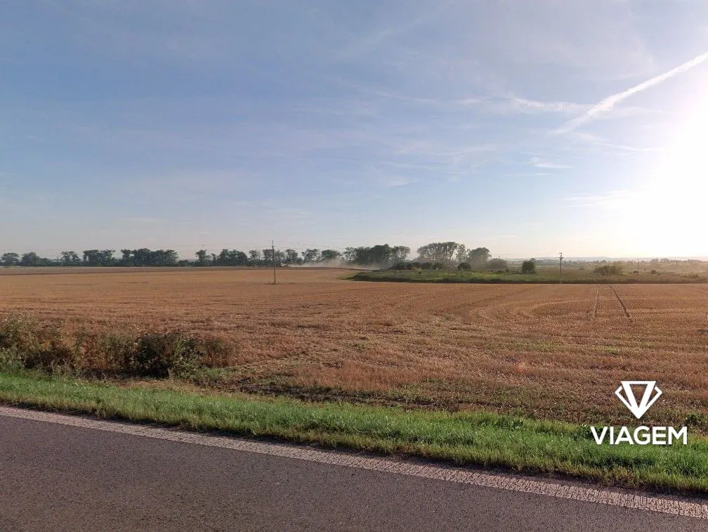 Prodej podílu 1/8 pole 734 m²