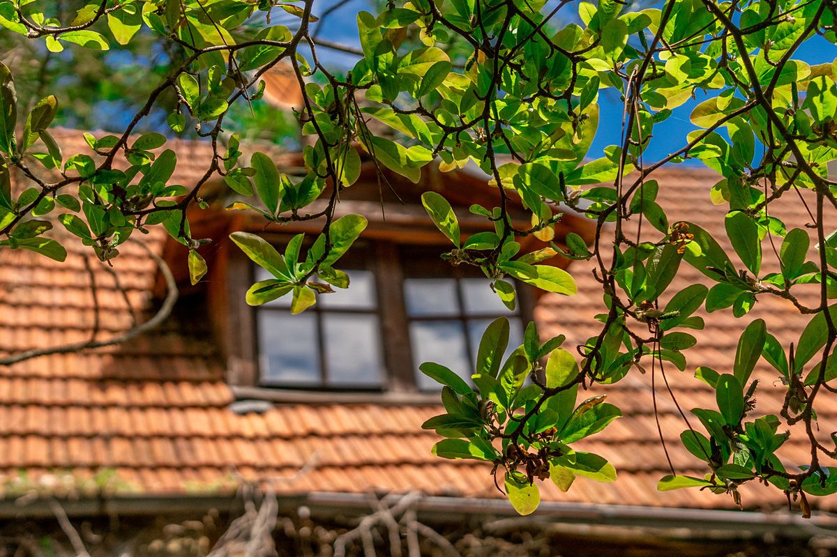 Prodej rodinného domu 160 m², pozemek 927 m² – fotografie 4