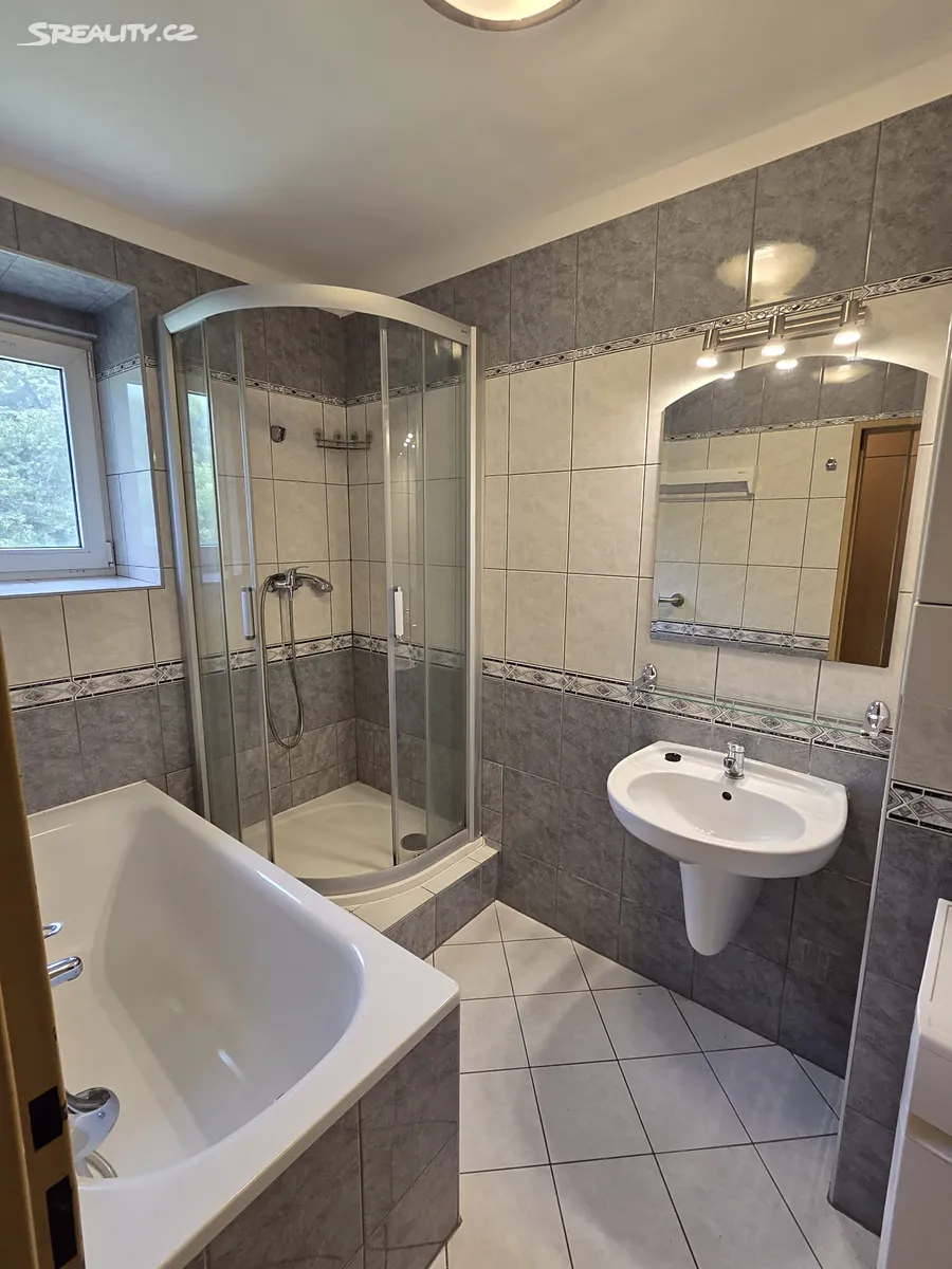 Pronájem bytu 3+1 70 m² – další