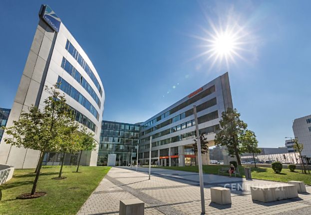 Pronájem kanceláře 650 m²