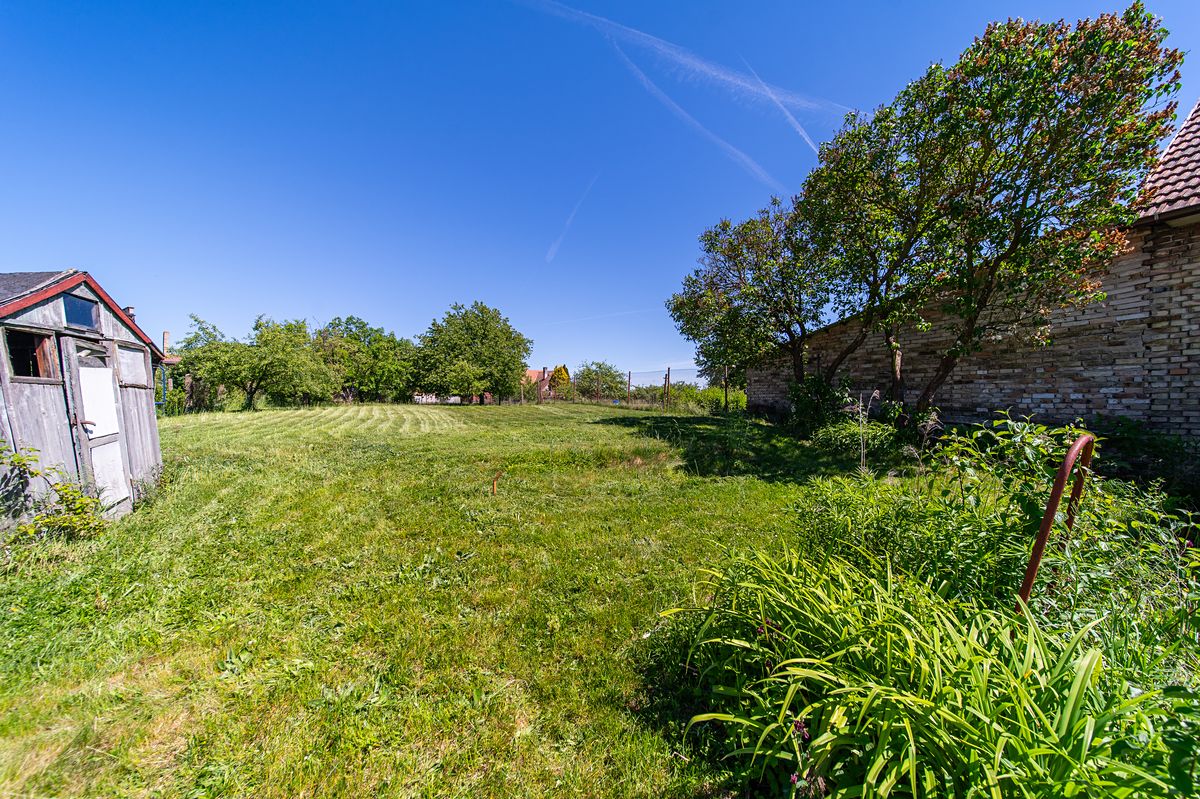 Prodej rodinného domu 101 m², pozemek 1171 m² – fotografie 3