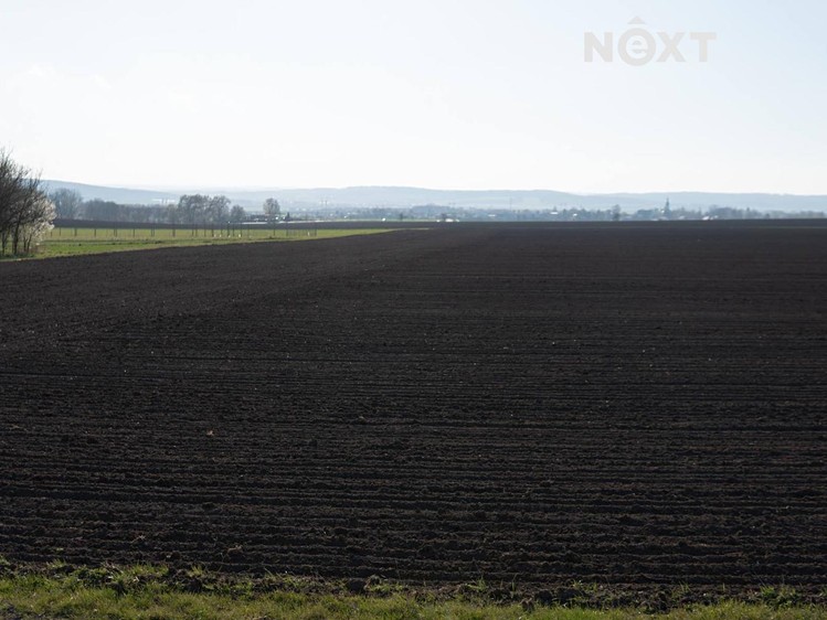 Grundstück zum Kauf, 30.550 m² (4 von 5)