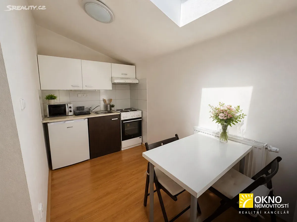 Pronájem bytu 1+kk 26 m² – pohled 2