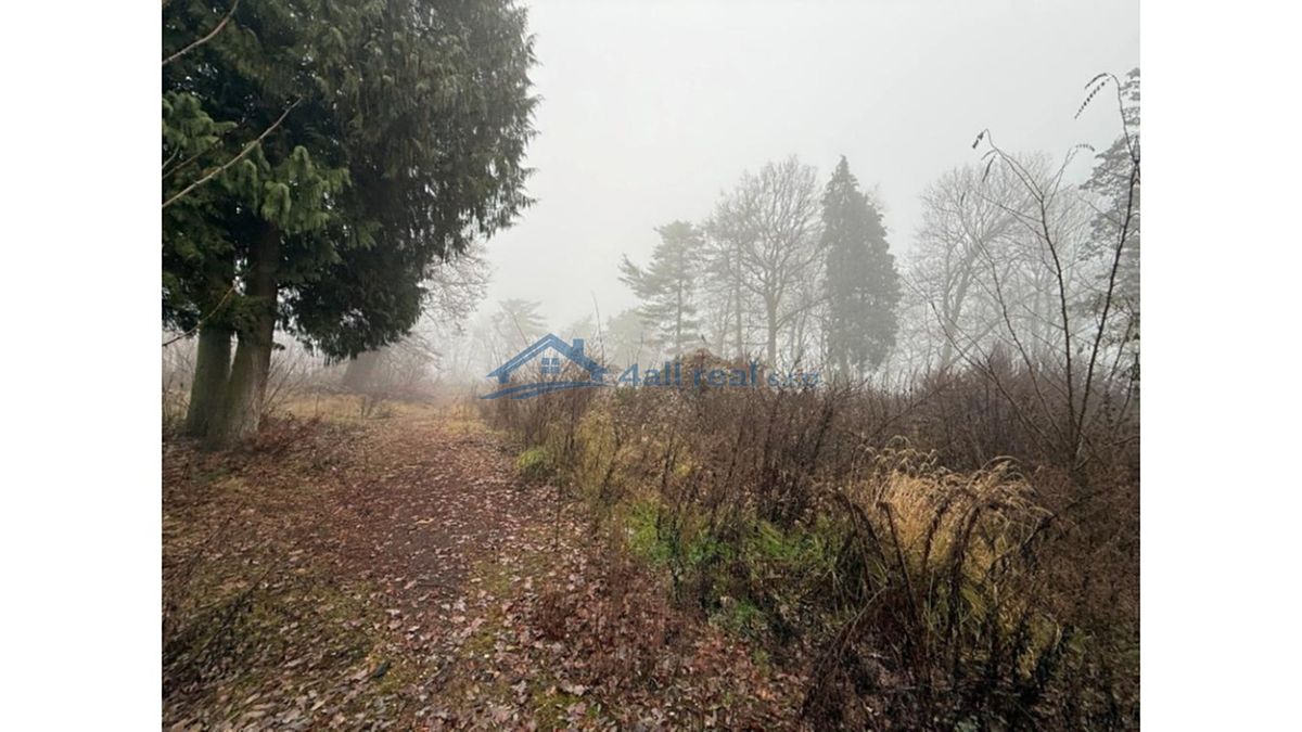 Prodej komerčního pozemku 31577 m² – fotografie 3