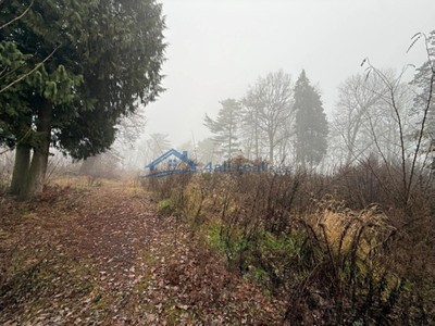 Ділянка на продаж, 31 577 м² (3 з 20)