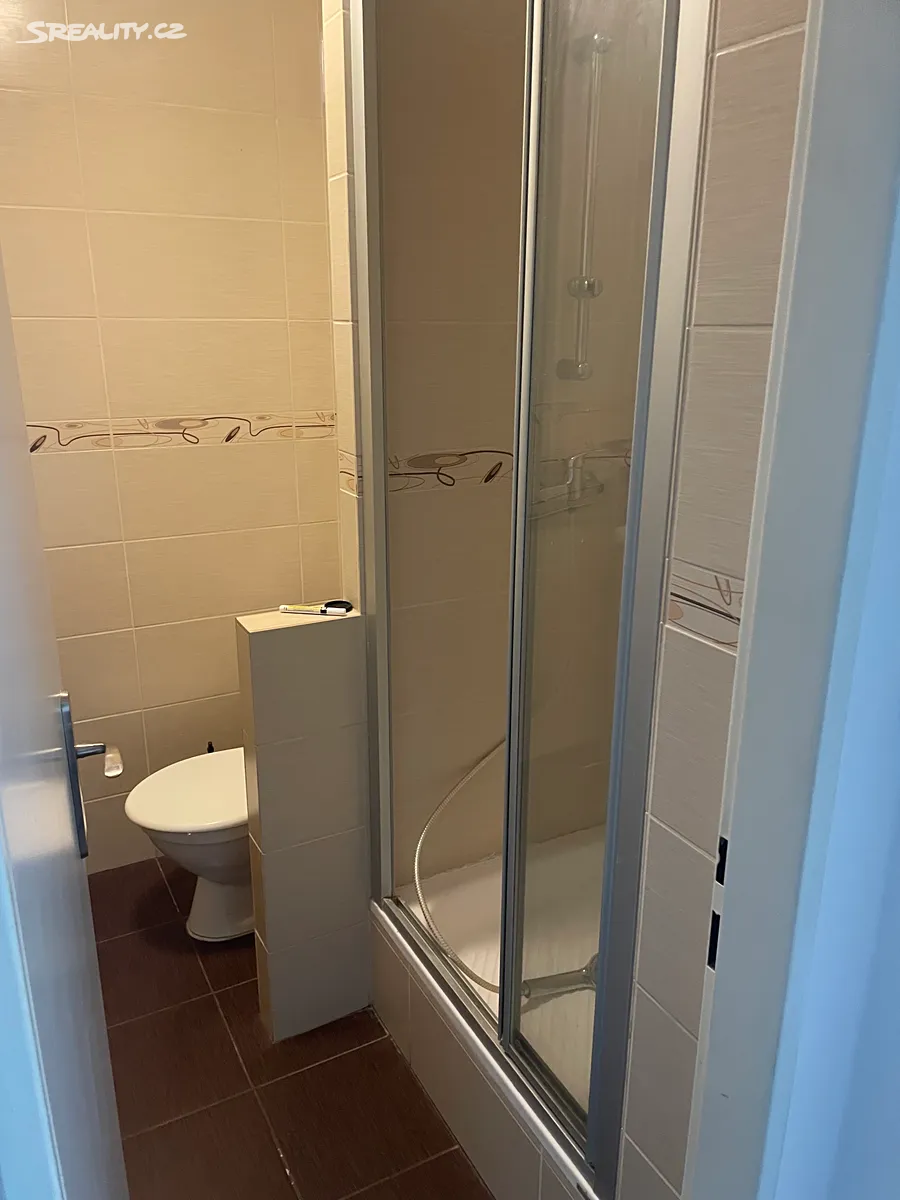 Pronájem bytu 1+1 45 m² – pohled 6