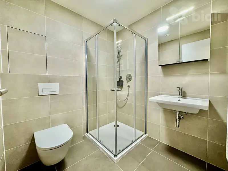 Pronájem bytu 1+kk 43 m², Brno – náhled fotky 3