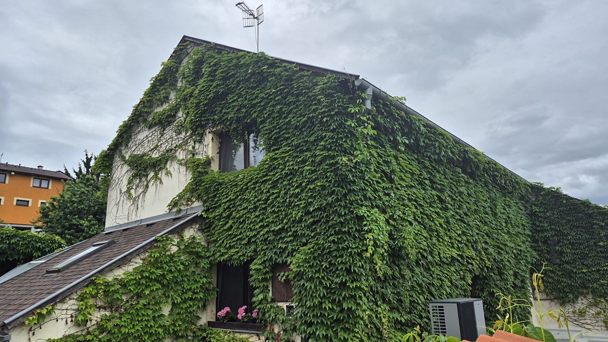 Prodej rodinného domu 330 m², pozemek 413 m²