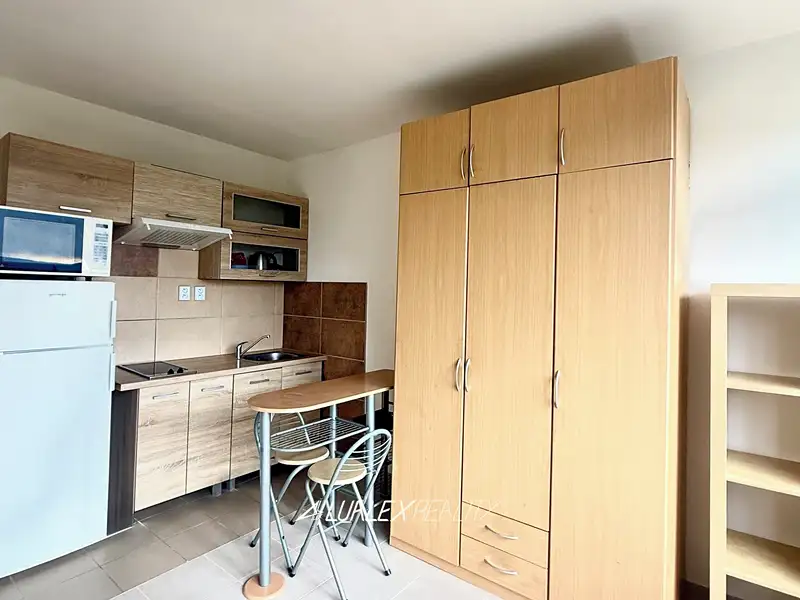 Prodej bytu 1+kk 24 m², Teplice – náhled fotky 2
