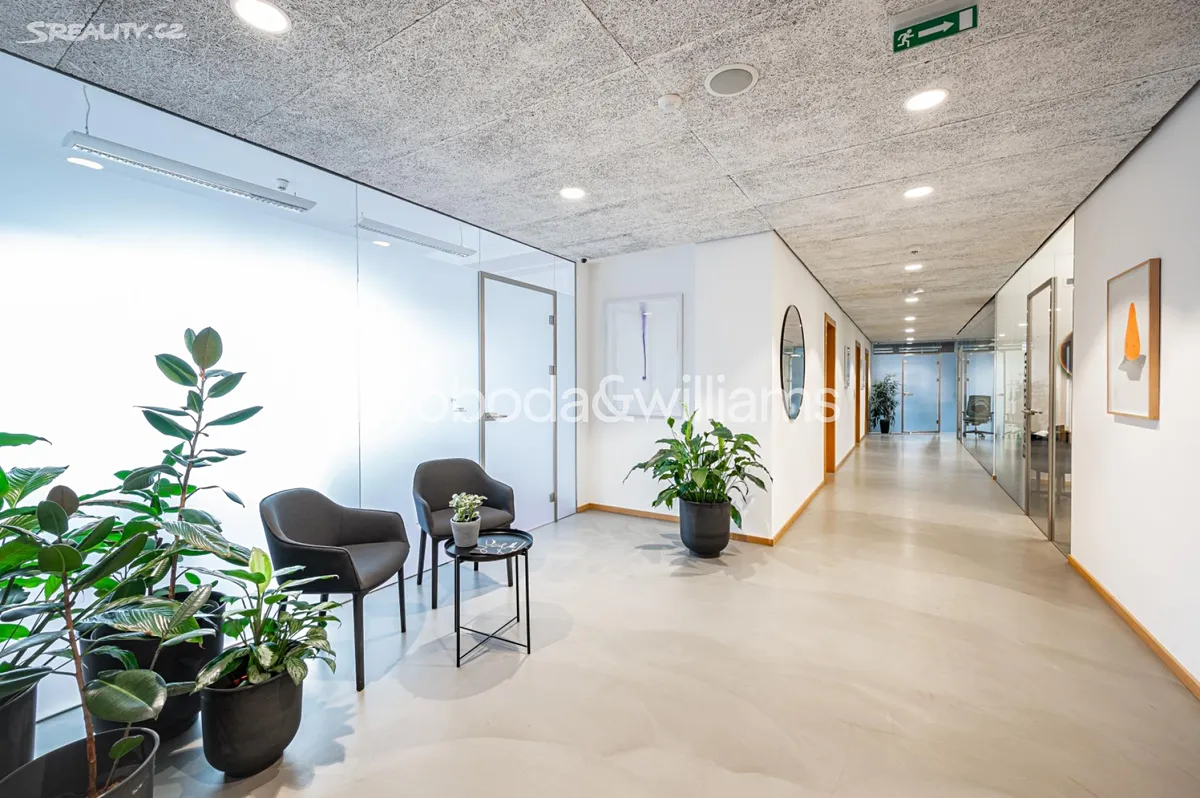 Pronájem kanceláře 38 m², Na Příkopě