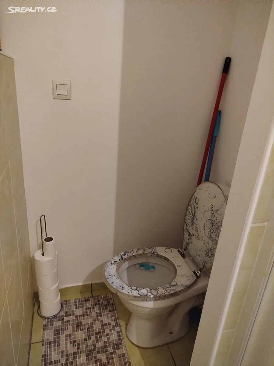 Pronájem bytu 1+1 40 m² – pohled 6