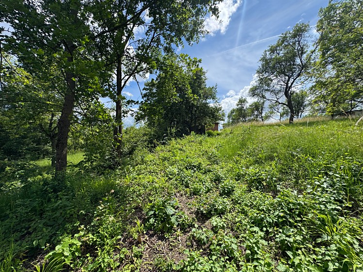Prodej pozemku, 731 m² (6 z 8)