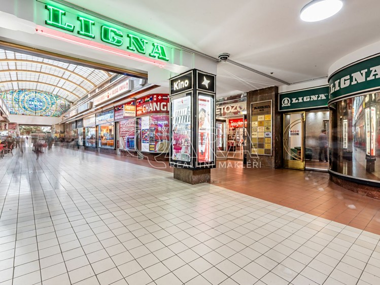 Pronájem komerčního prostoru, 202 m² (13 z 18)
