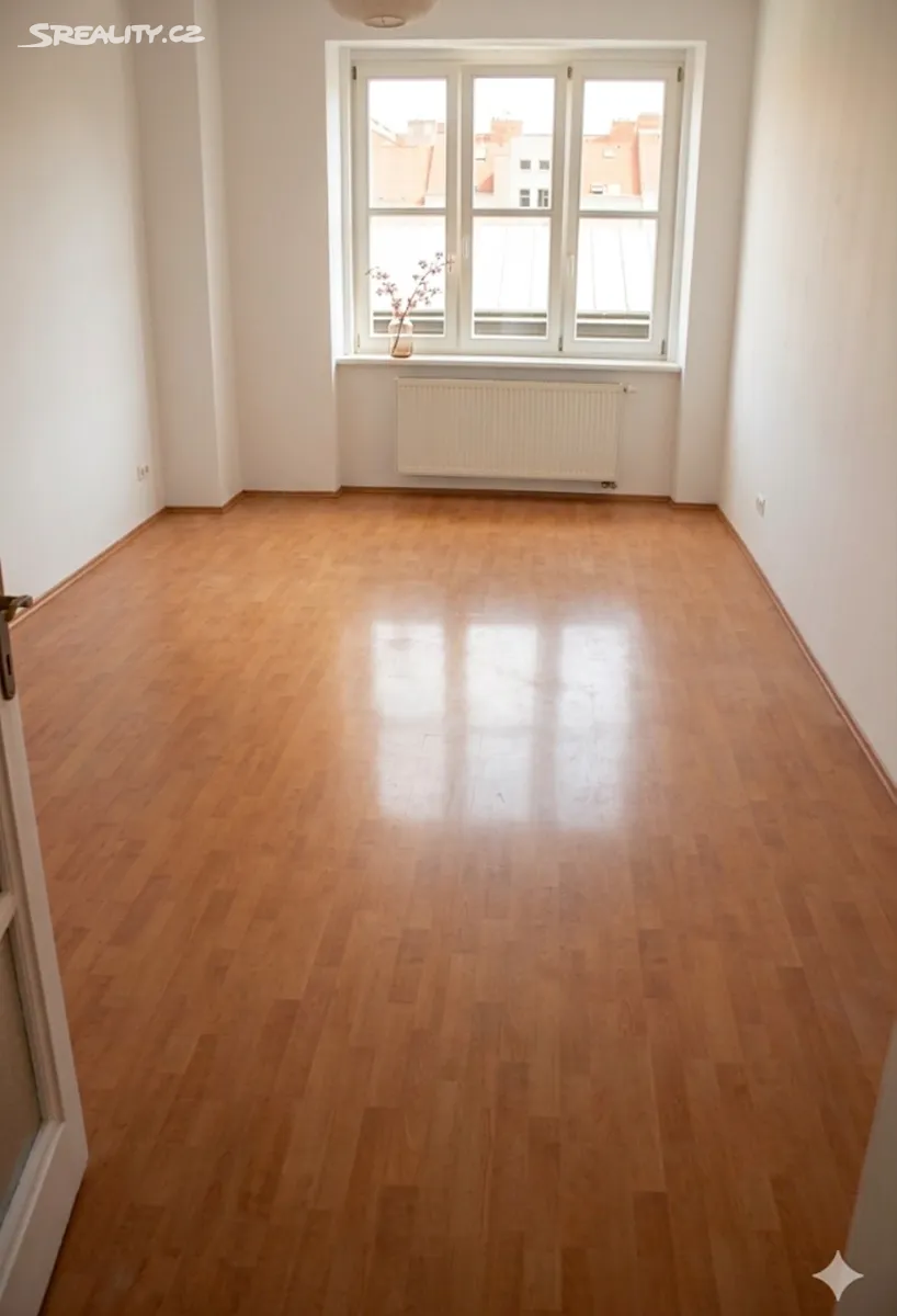 Pronájem bytu 2+1 77 m² – další