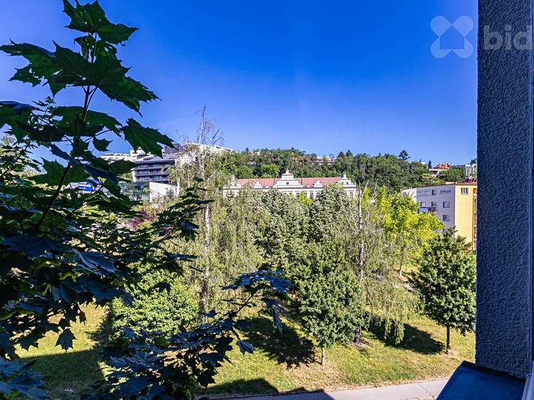 Квартира 1+1 на продаж, 45 м² (14 з 21)