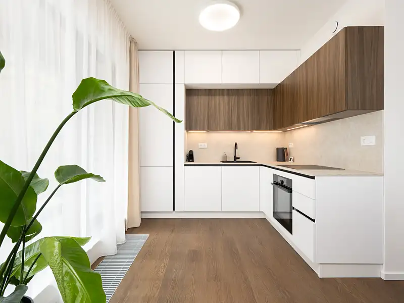 Prodej bytu 3+kk 84 m², Brno – náhled fotky 1