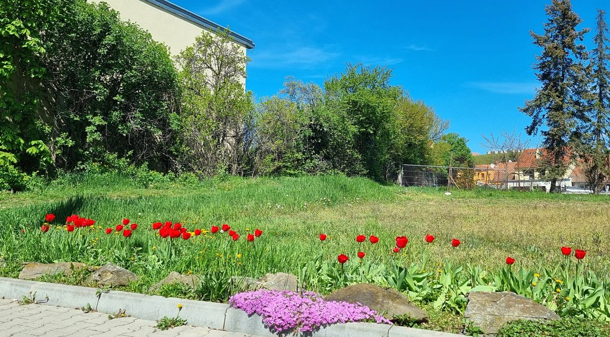 Prodej stavebního pozemku 471 m², Brno – fotka 1 z 3