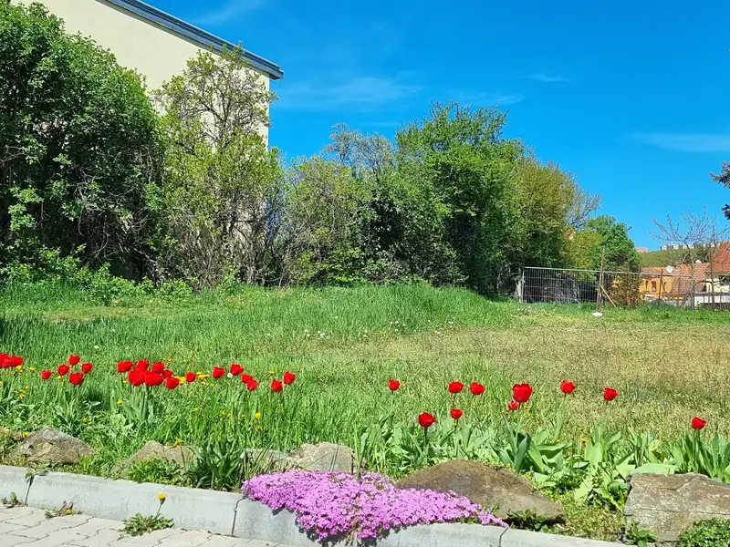 Prodej stavebního pozemku 471 m², Brno – náhled fotky 1