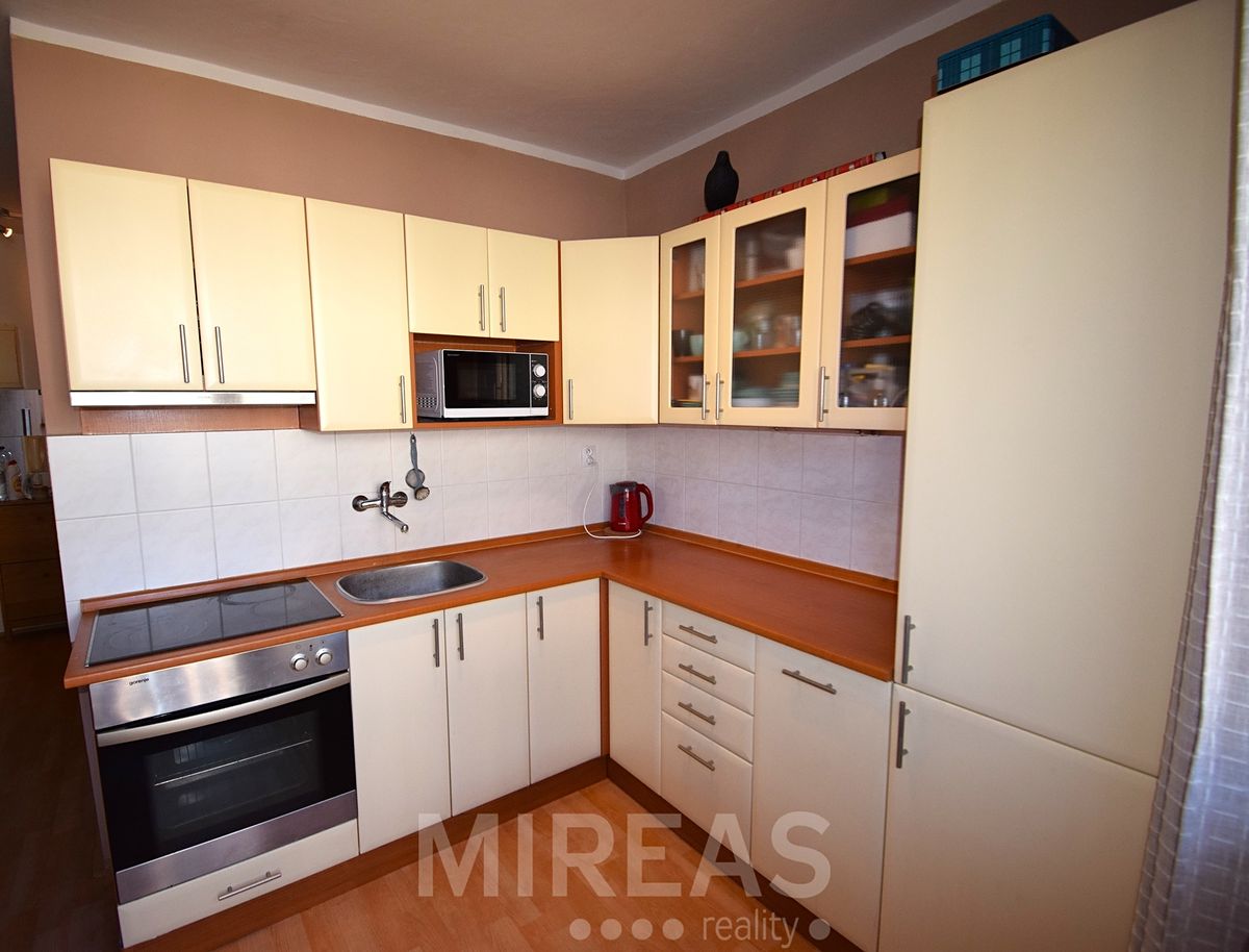 Pronájem bytu 1+1 39 m²