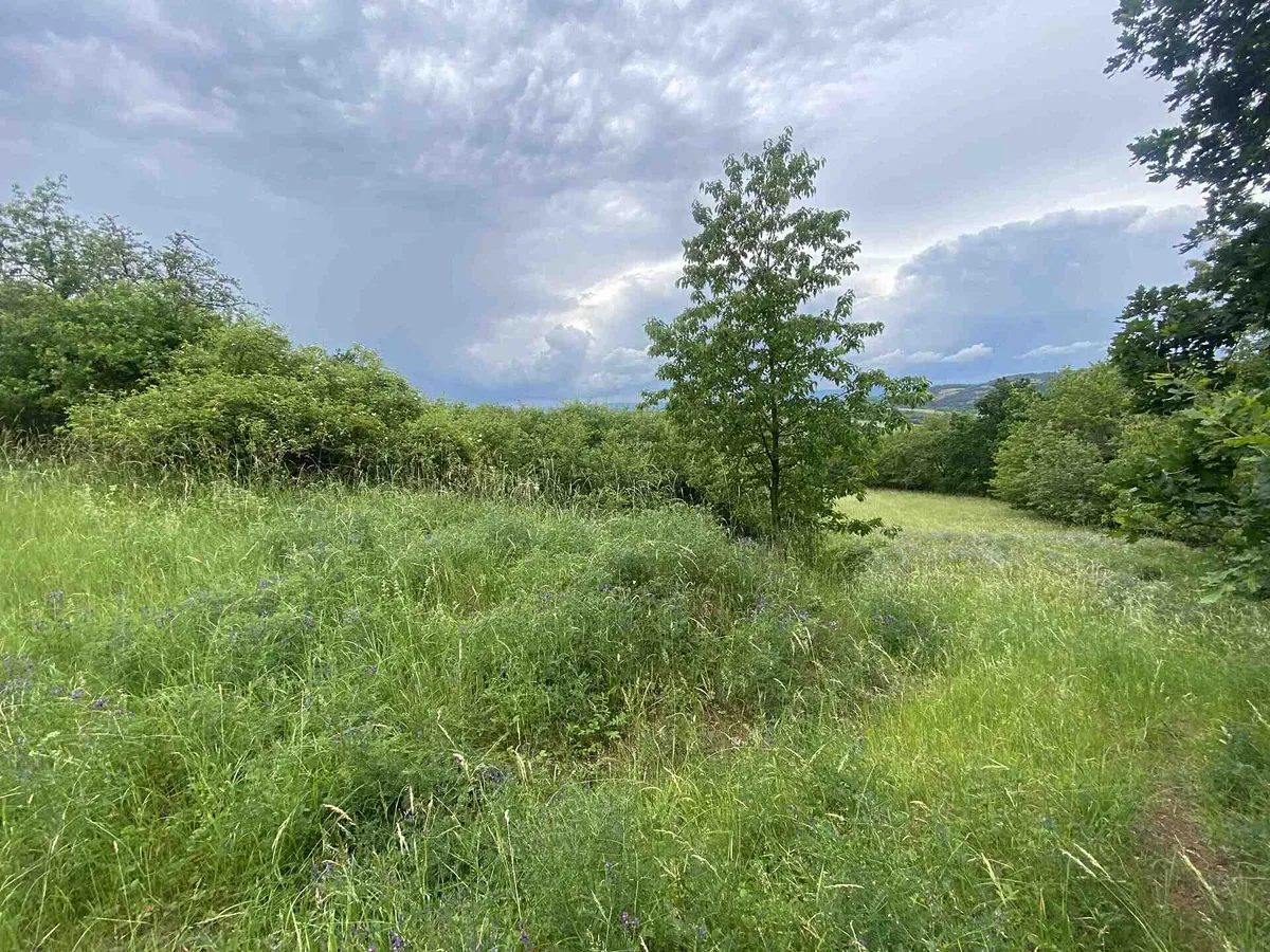 Prodej pole 10485 m²
