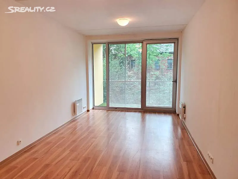 Pronájem bytu 1+kk 30 m² - Widok 2