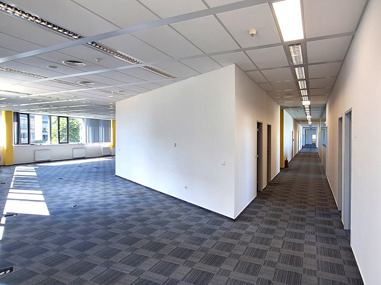 Gewerbefläche zur Miete, 200 m² (6 von 11)