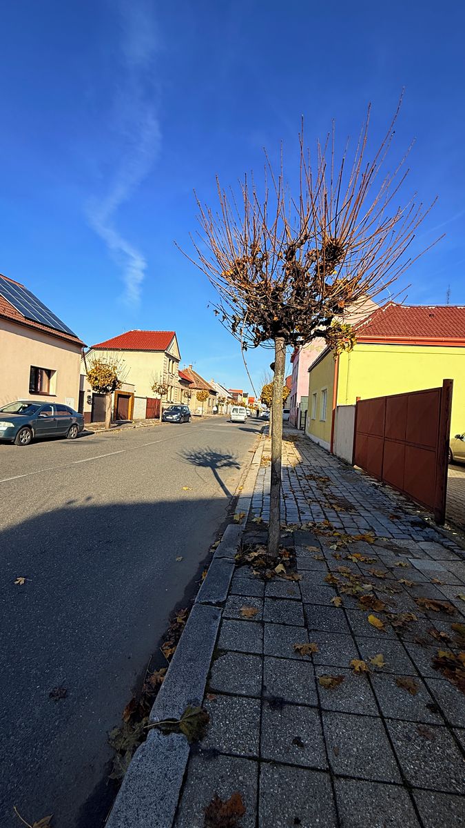 Pronájem skladového prostoru 16 m² – fotografie 4