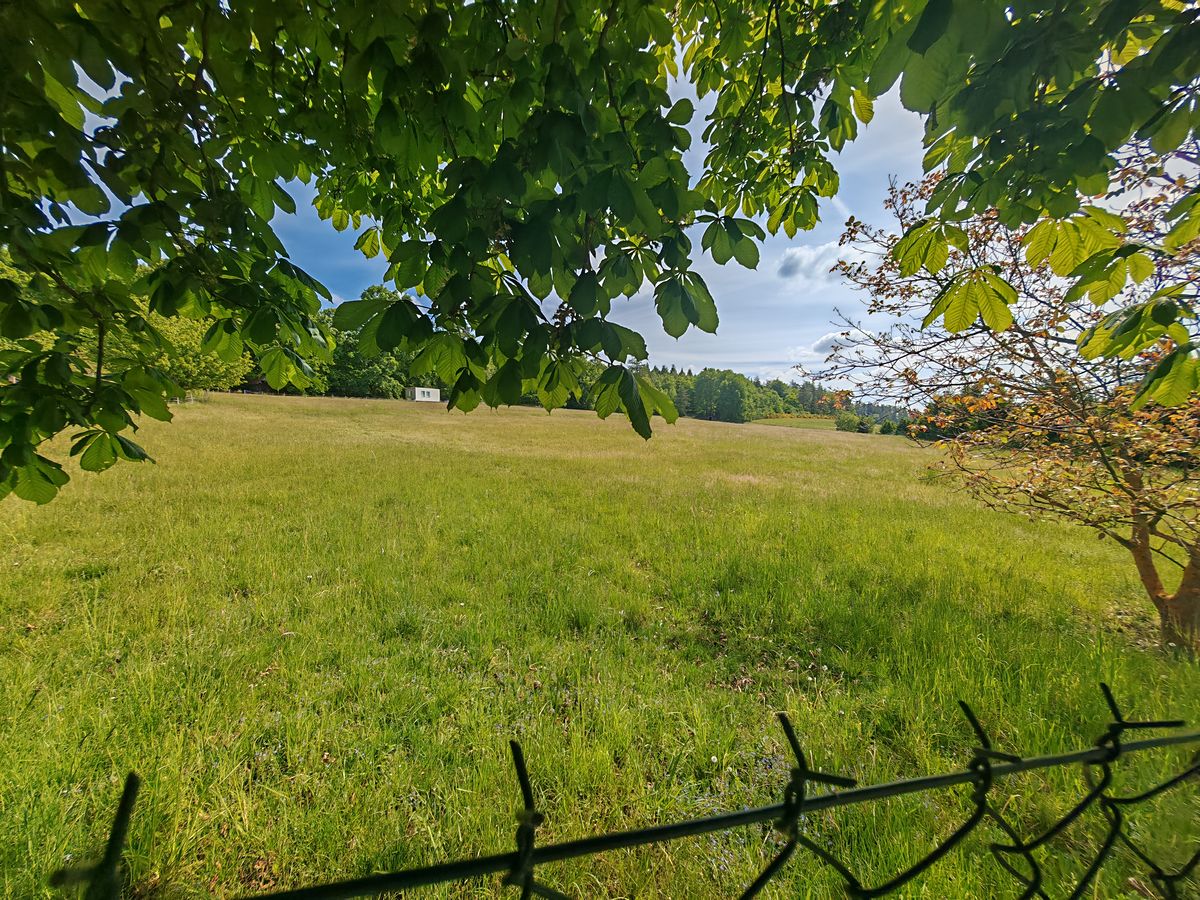 Prodej pole 163300 m² – fotografie 3