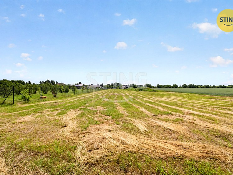 Ділянка на продаж, 2 964 м² (6 з 8)