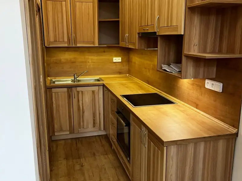 Pronájem bytu 2+kk 45 m², Horní Benešov – náhled fotky 2