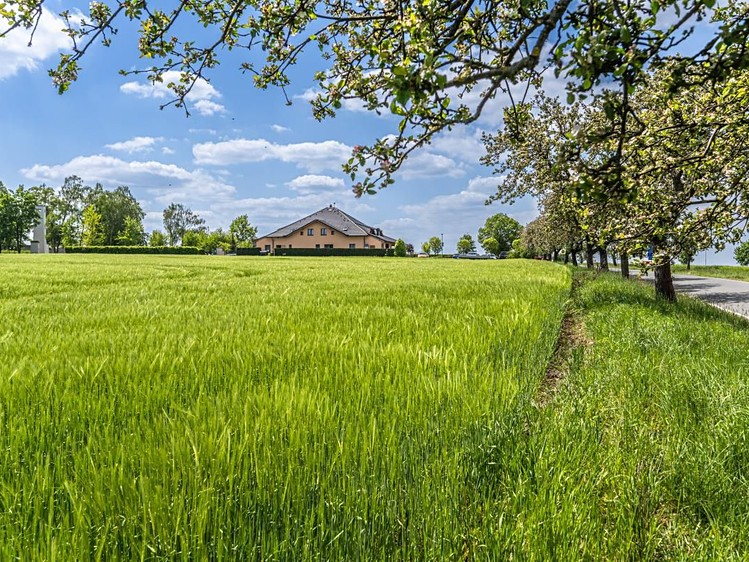 The Plot for sale, 801 m² (11 of 11)