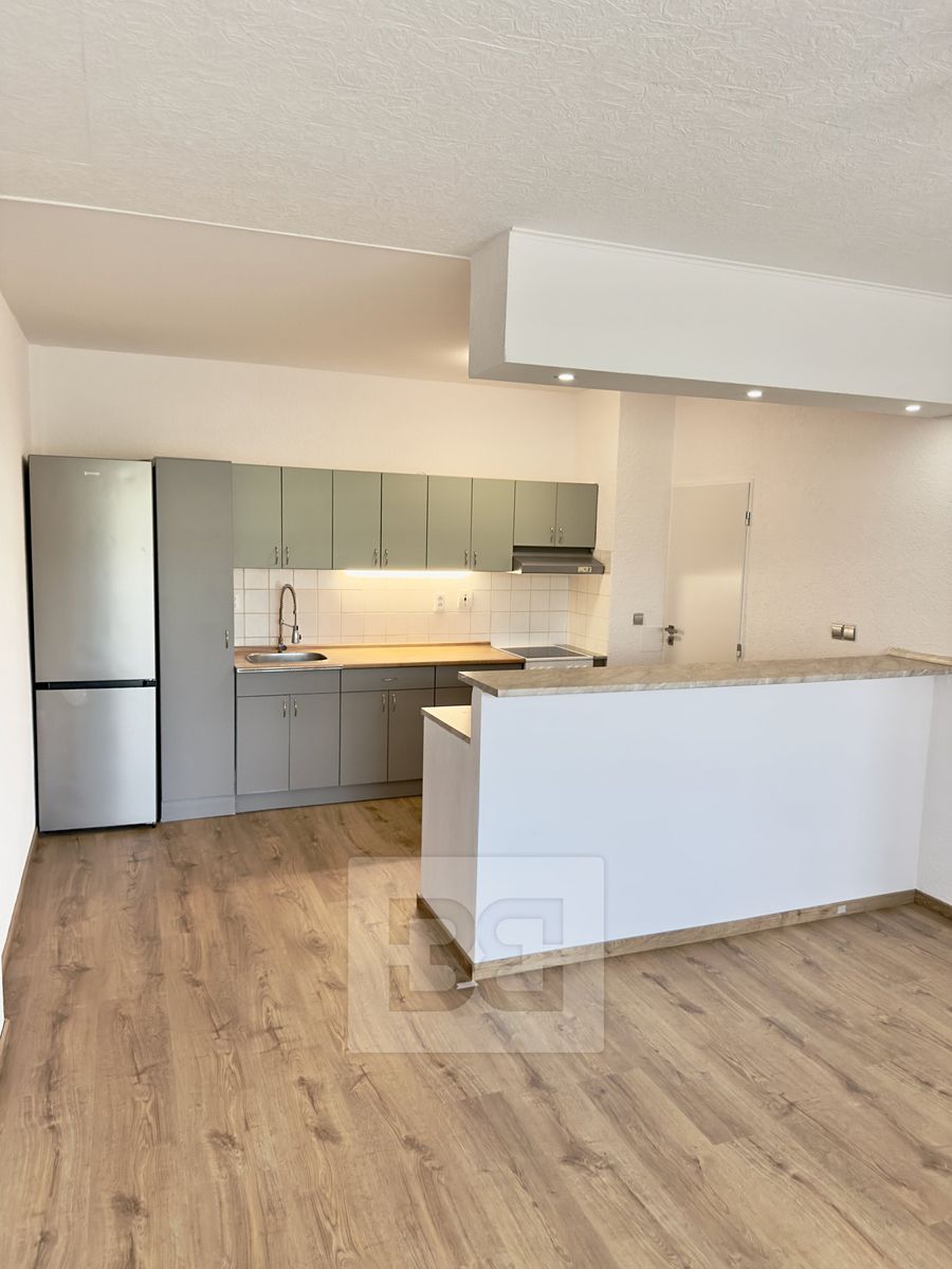 Pronájem bytu 2+kk 59 m²