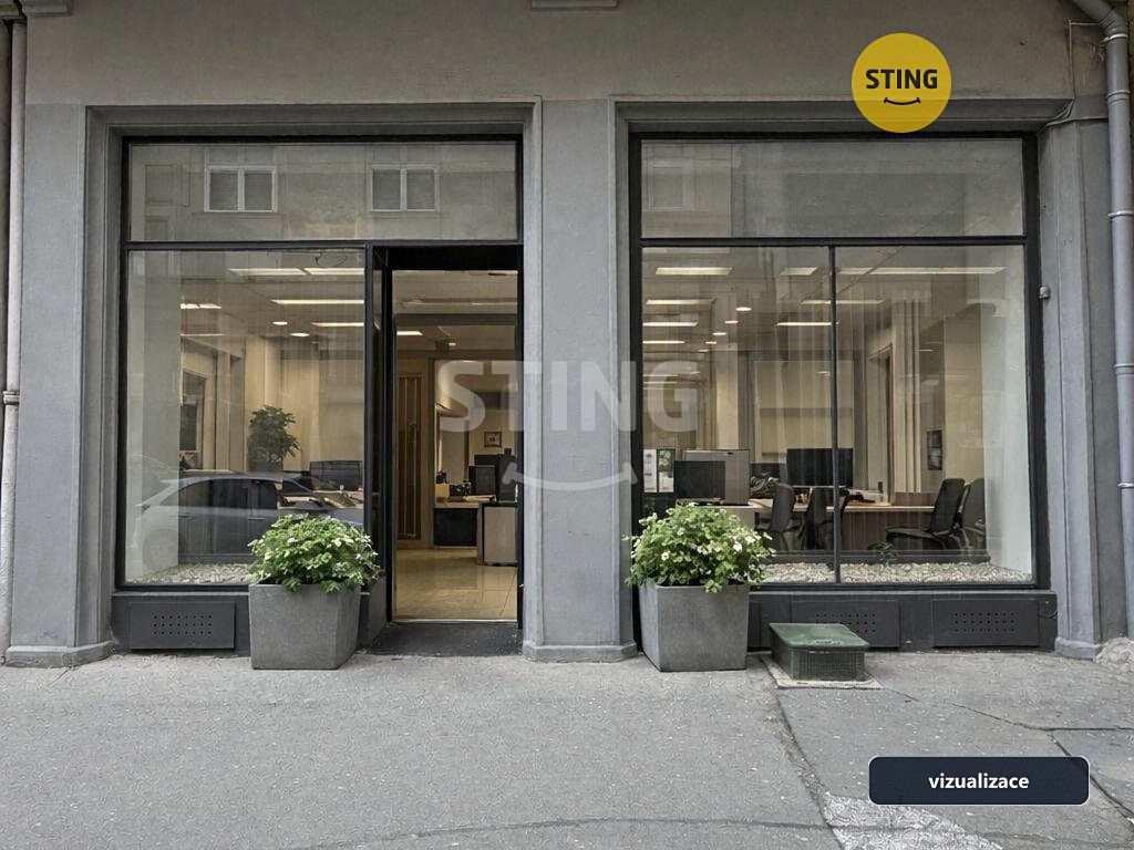 Pronájem obchodního prostoru 220 m²