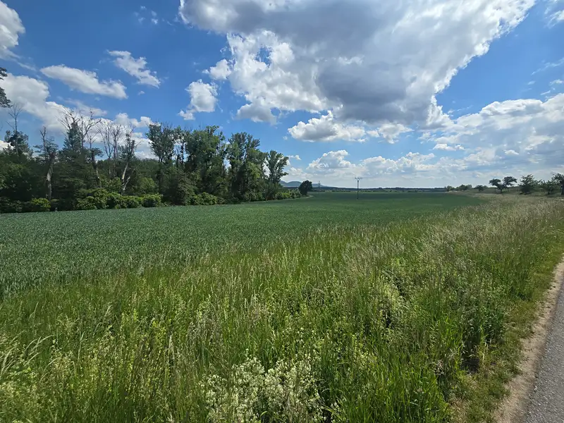 Prodej sadu, vinice 4942 m², Ivaň – náhled fotky 3