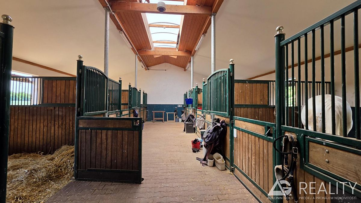 Prodej zemědělského objektu 5128 m² – fotografie 4