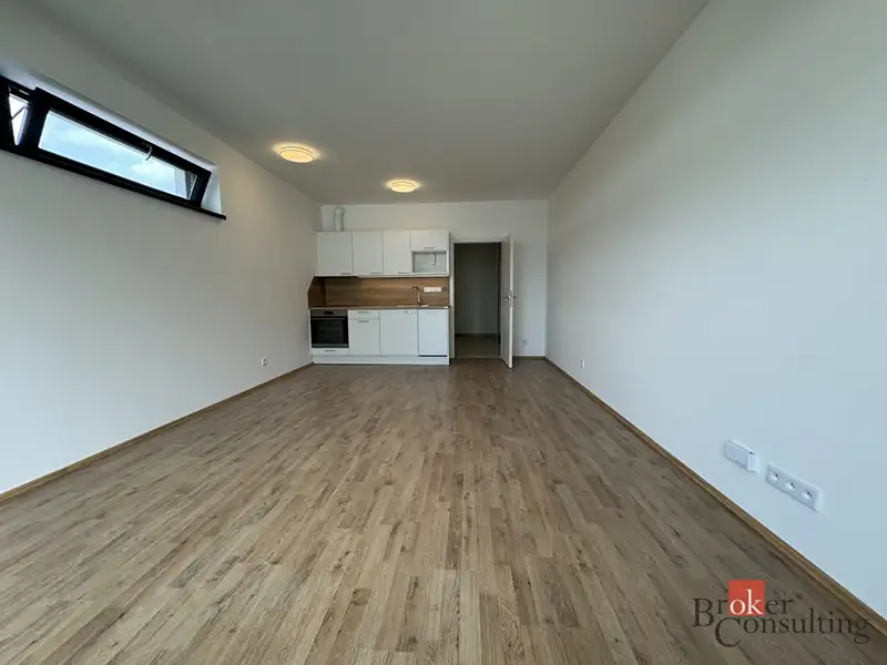 Prodej bytu 1+kk 46 m², Plzeň – náhled fotky 3